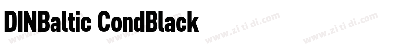 DINBaltic CondBlack字体转换